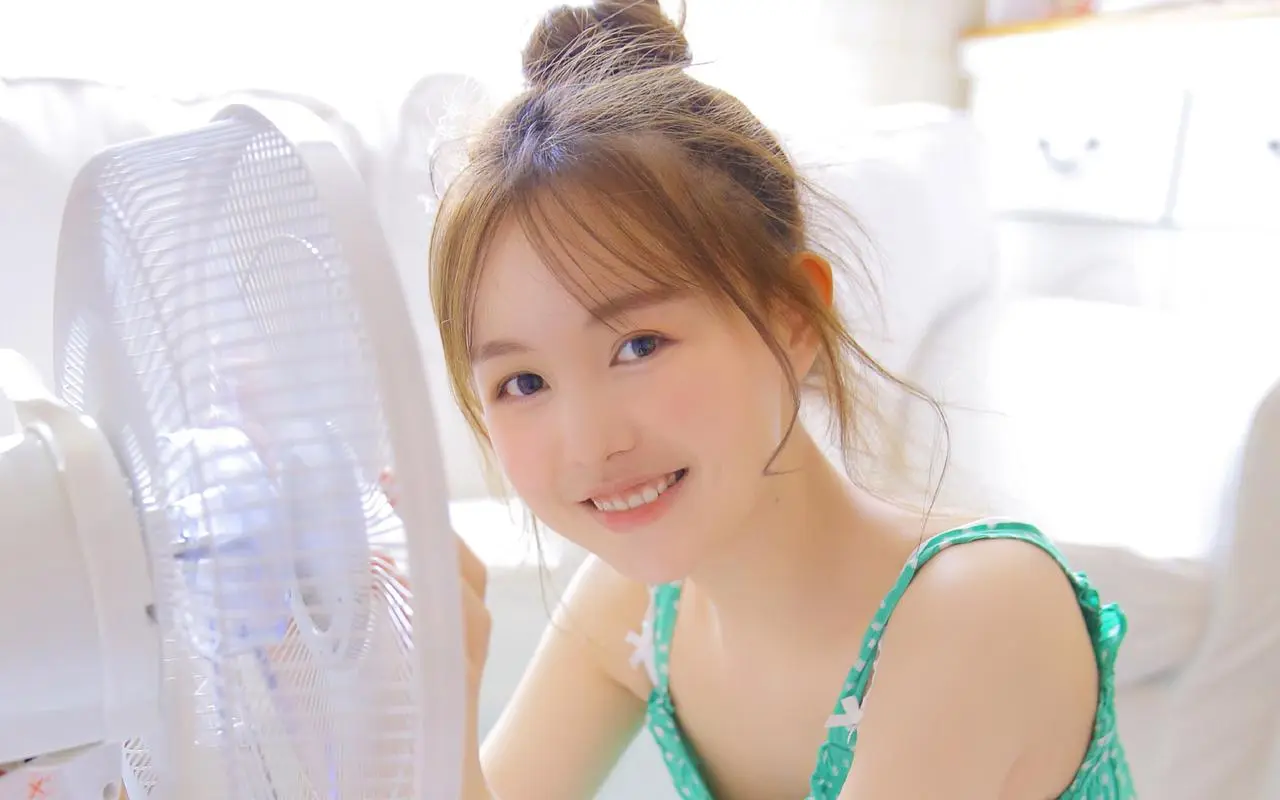 激走战队车连者,免下载免费观看,DVD版,全37集