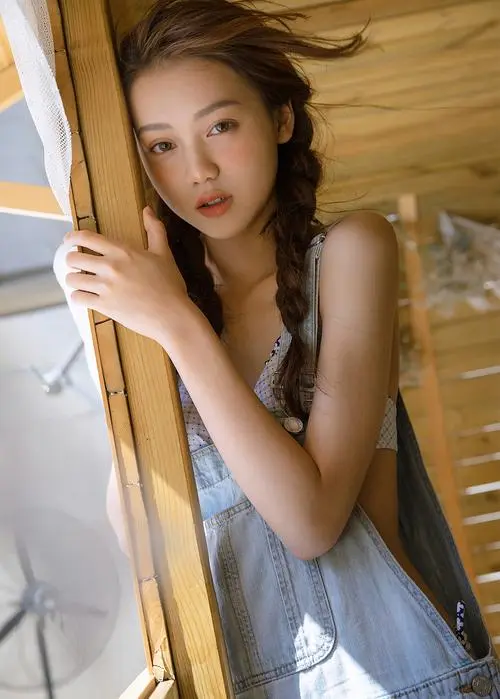 电车之狼,R,免费无广告,DVD版,全98集