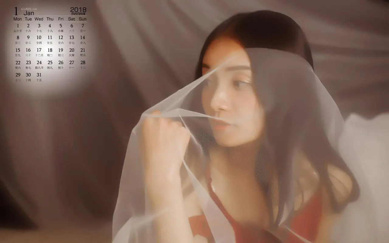 娜美和罗宾h小游戏,高码率收藏版,简中字幕,全集免费观看完整版