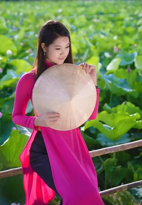 了不起的麦瑟尔夫人在哪里能看,国语,手机免APP观看,官方中字